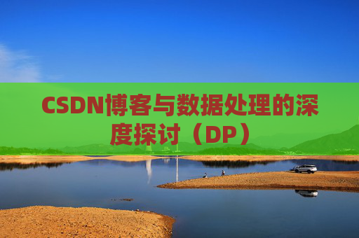 CSDN博客与数据处理的深度探讨（DP）